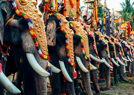 traveldilse-Captivating Kerala